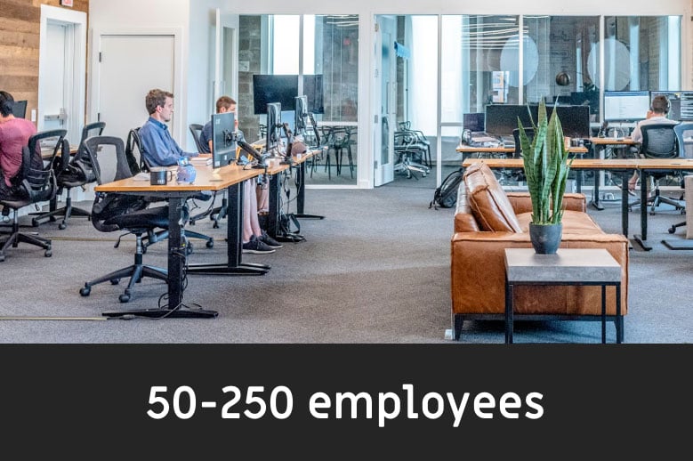 for 50 to 250 employees