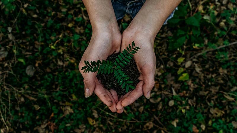 How to scale your startup with one eye on sustainability