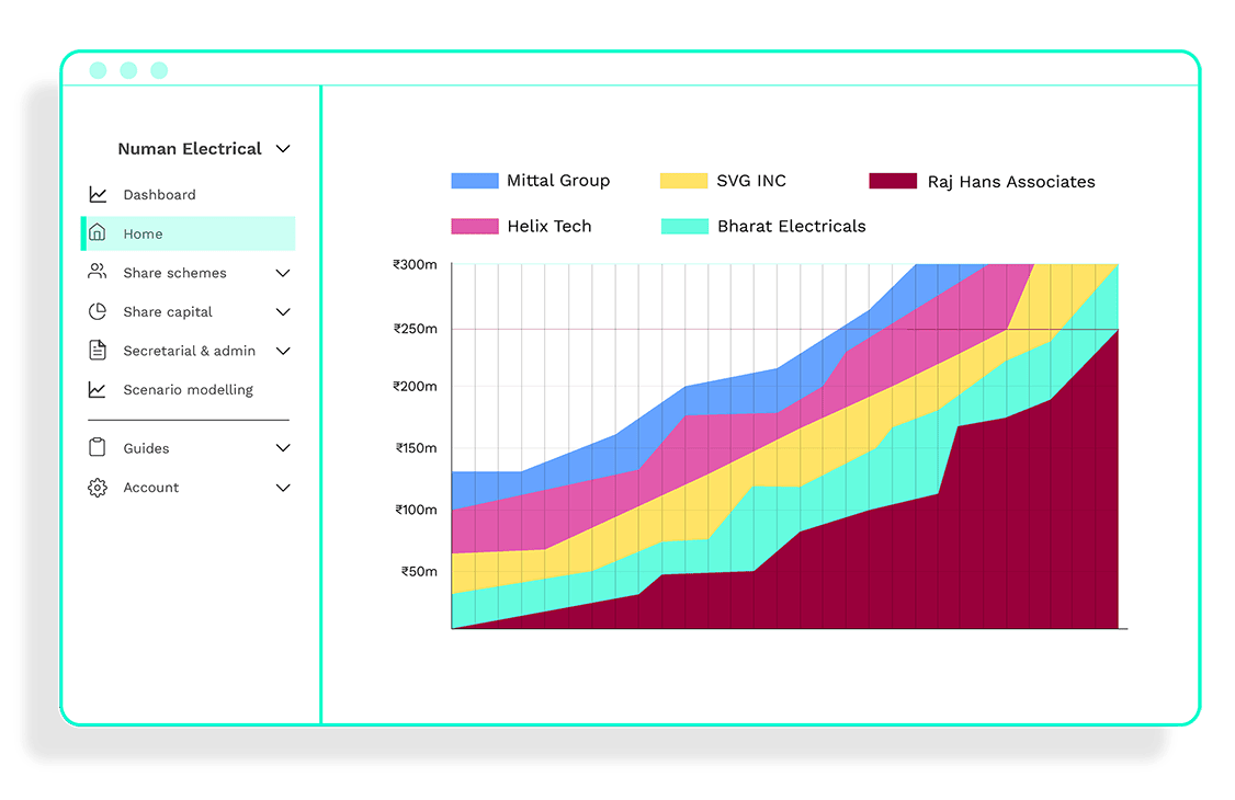 Investor-Reporting-Projection-month-on-month