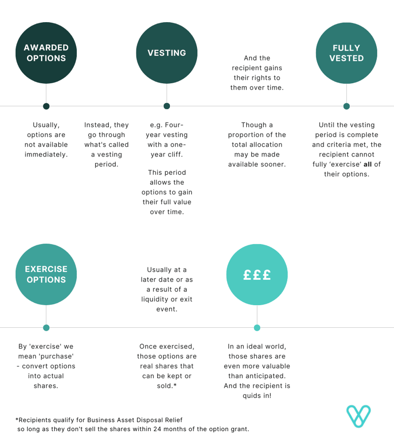 The Lifecycle of Options