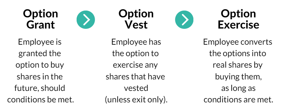 vesting-schedules-chart