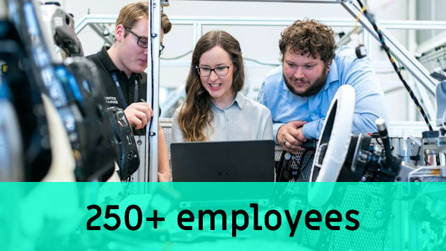 for 250 employees or more