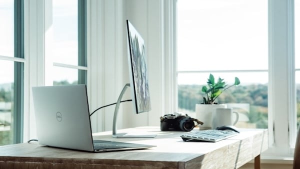 startup myths 