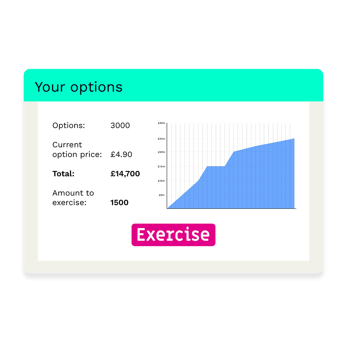 exercise-options